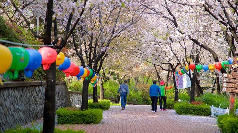 lưu ý