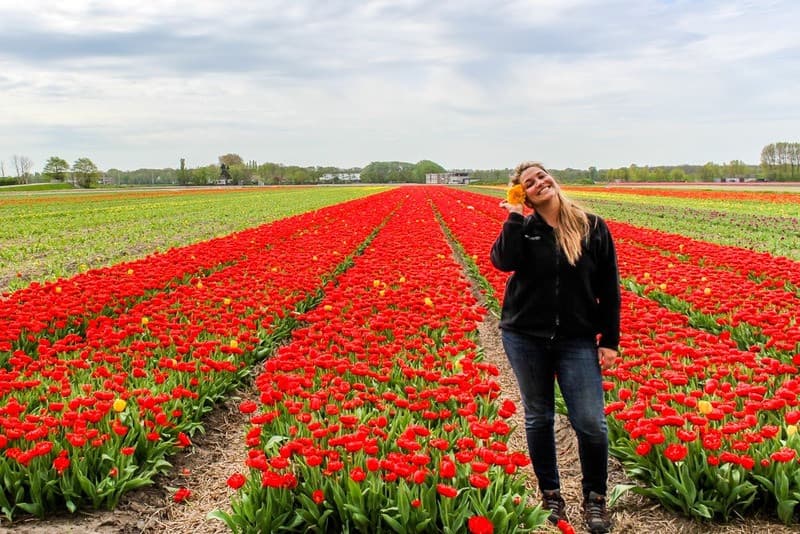 Ý nghĩa sâu sắc của hoa tulip đằng sau dáng vẻ yêu kiều ấy
