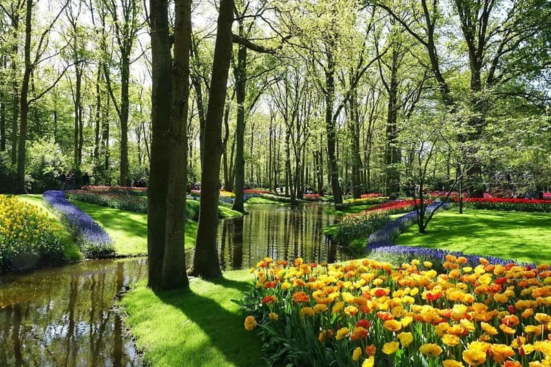 Giá vé và lưu ý khi mua vé tham quan Keukenhof