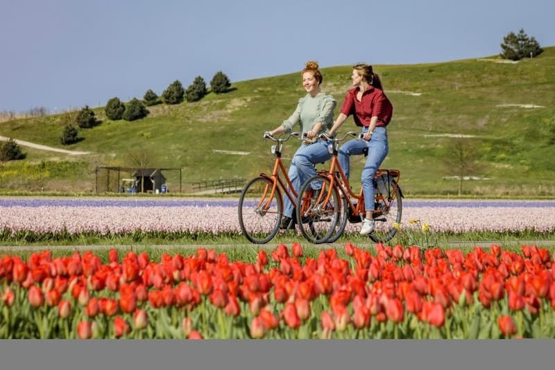 Vi vu trên chiếc xe đạp quanh khu vườn Keukenhof