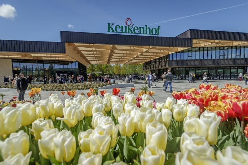 Lạc lối vào mảnh đất thần tiên tại lễ hội Keukenhof
