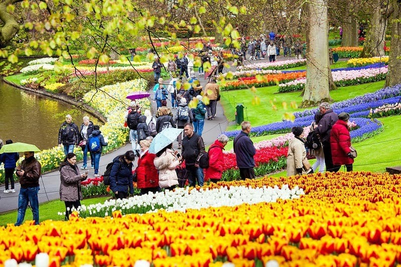 Khung cảnh rực rỡ tại vườn hoa Keukenhof
