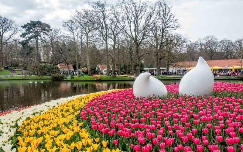 Chiêm ngưỡng “thủ phủ hoa tulip” tại gian Willem-Alexander