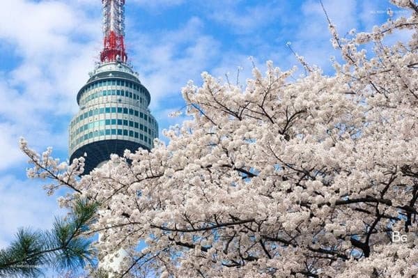 đài quan sát tháp namsan