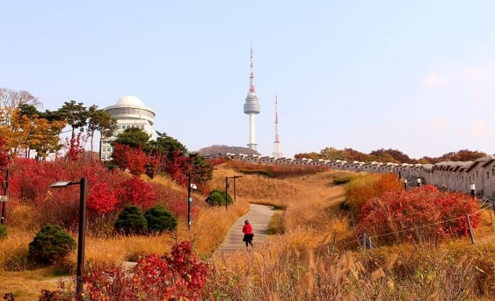 tháp namsan mùa thu