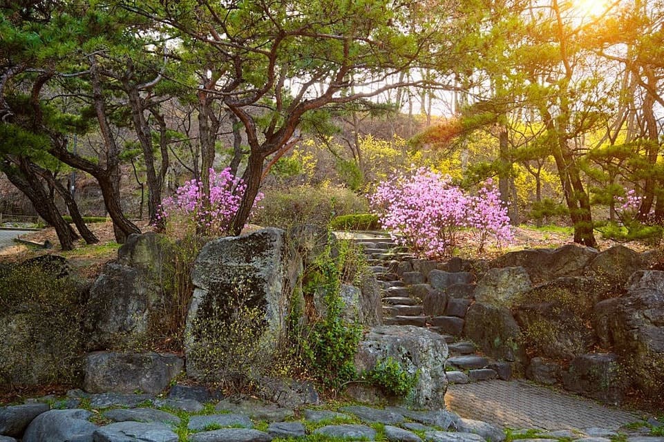 công viên namsan