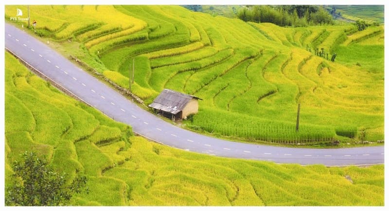 Du lịch Y Tý mùa lúa chín