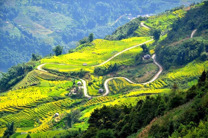 Du lịch Y Tý mùa lúa chín