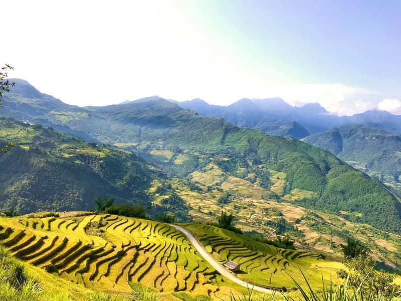 Du lịch Y Tý mùa lúa chín