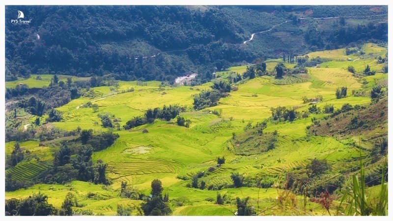 Du lịch Y Tý mùa lúa chín