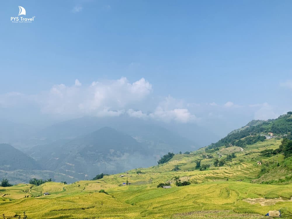du lịch y tý mùa lúa chín