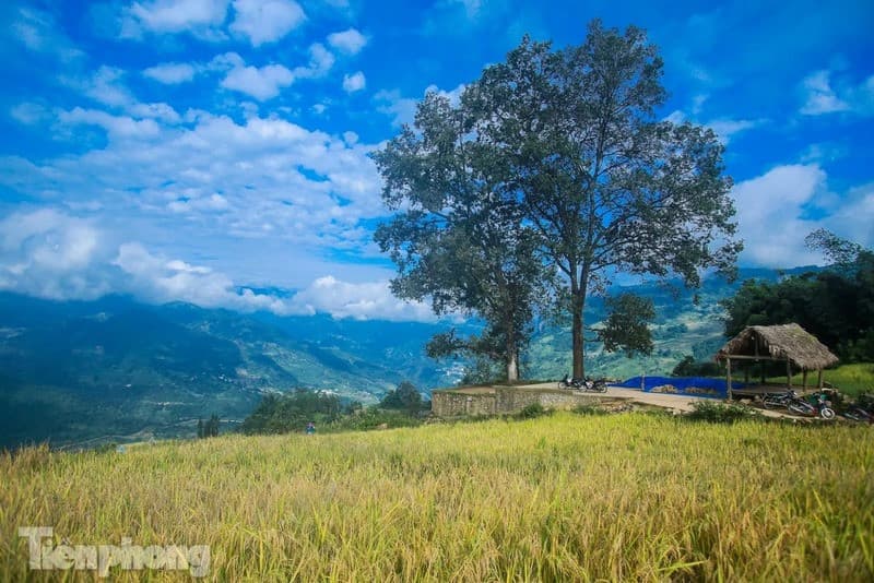 Du lịch Choản Thèn mùa lúa chín