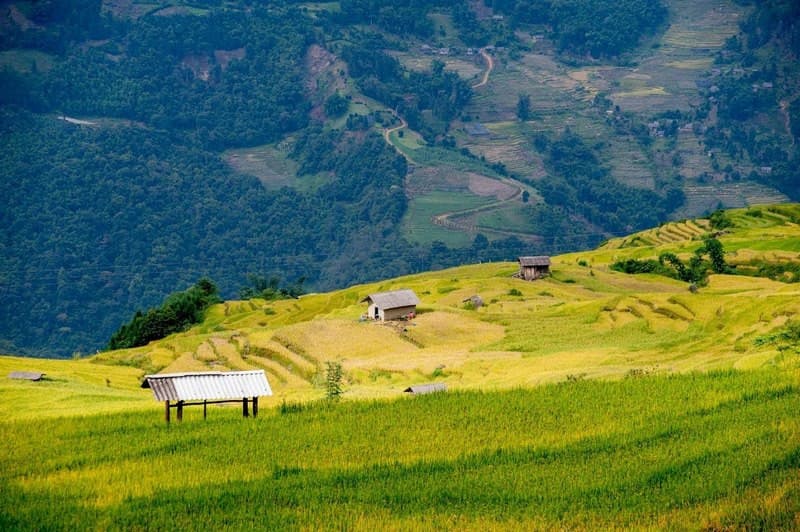 Du lịch Y Tý mùa lúa chín