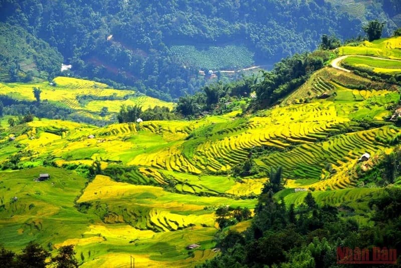 Du lịch Y Ty mùa lúa chín