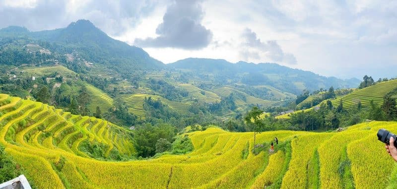 Hà Giang mùa lúa chín