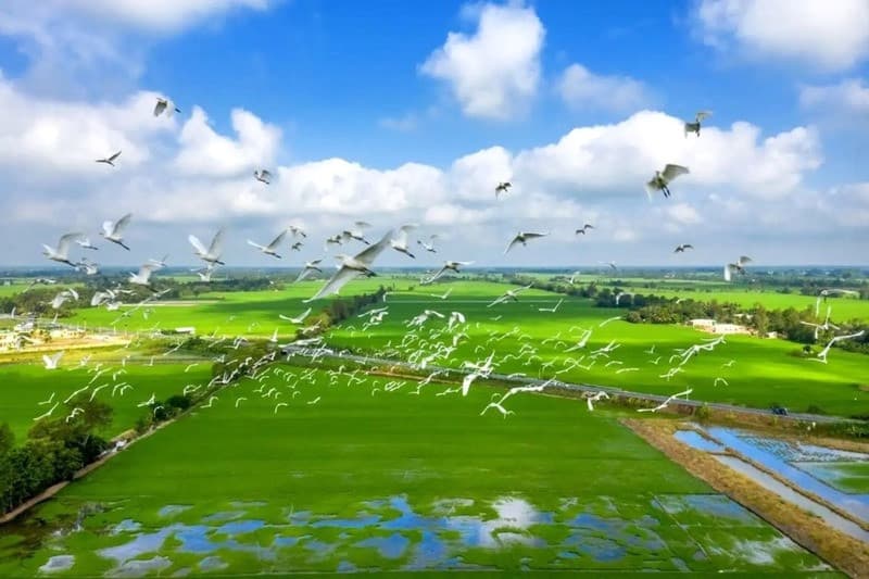 du lịch hè miền tây