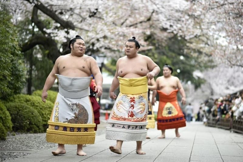 lễ hội sumo