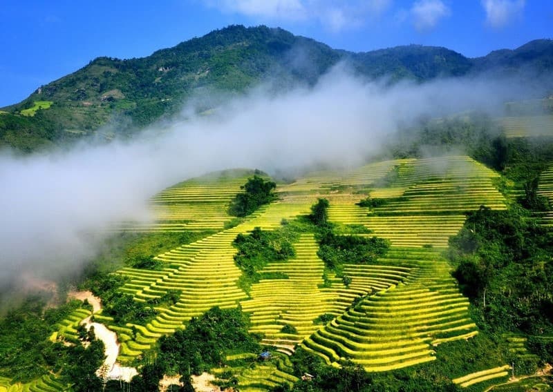 Sapa mùa thu
