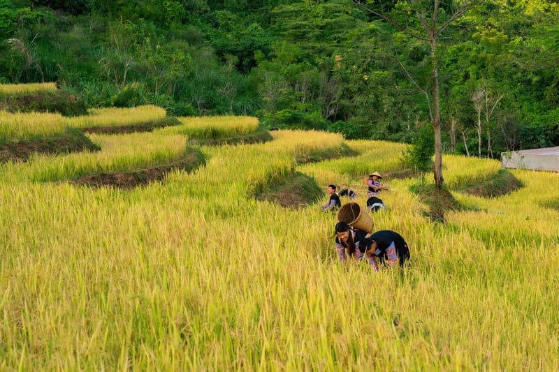Du lịch Mai Châu tháng 10