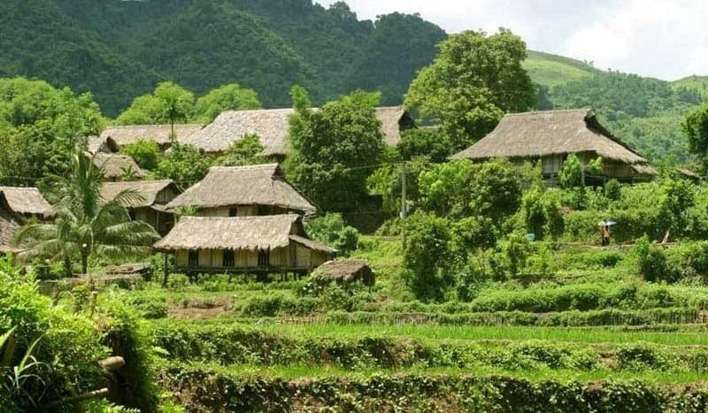 bản pom coọng