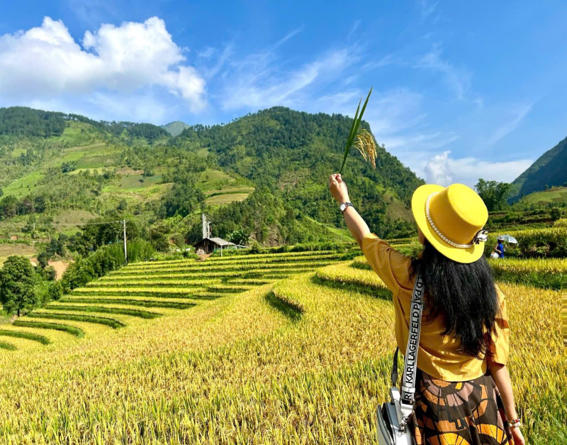 bản mù trạm tấu