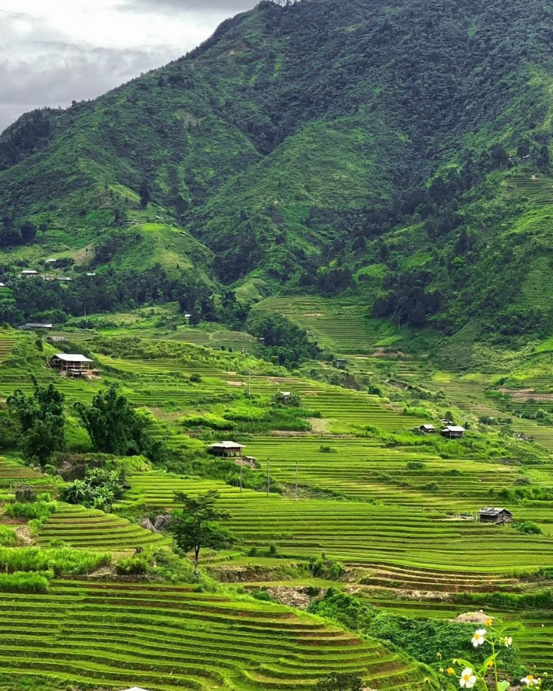  trạm tấu yên bái