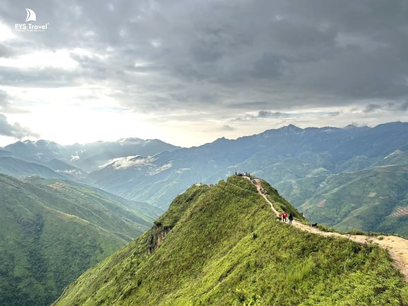 sống lưng khủng long tà xùa