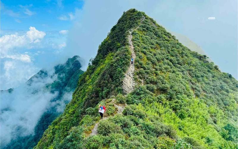 Rừng rêu Tà Xùa, du lịch Tà Xùa