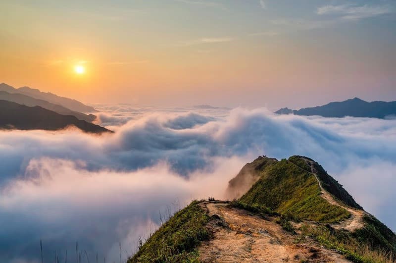 Sống lưng khủng long Tà Xùa
