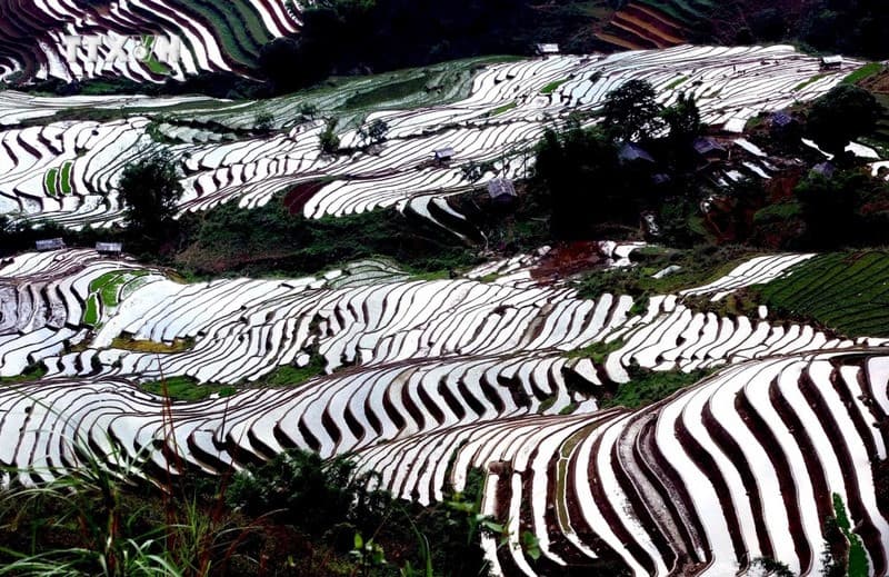 Mùa nước đổ Xím Vàng