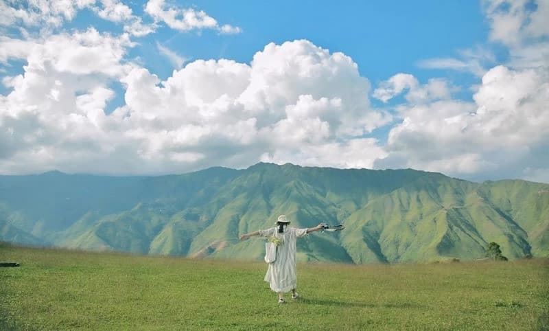 Thảo nguyên Tà Xùa mùa hè