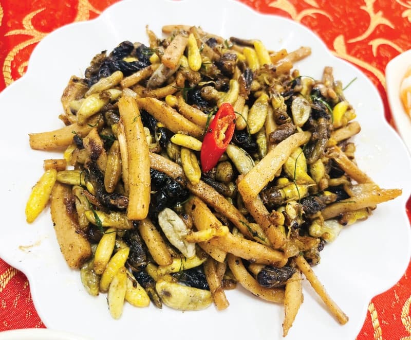  Ong rừng xào măng đắng