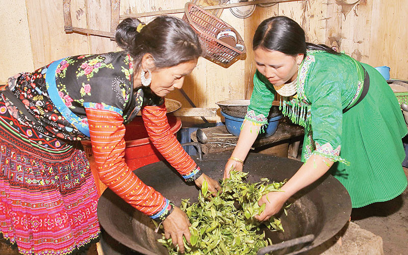 chè shan tuyết tà xùa