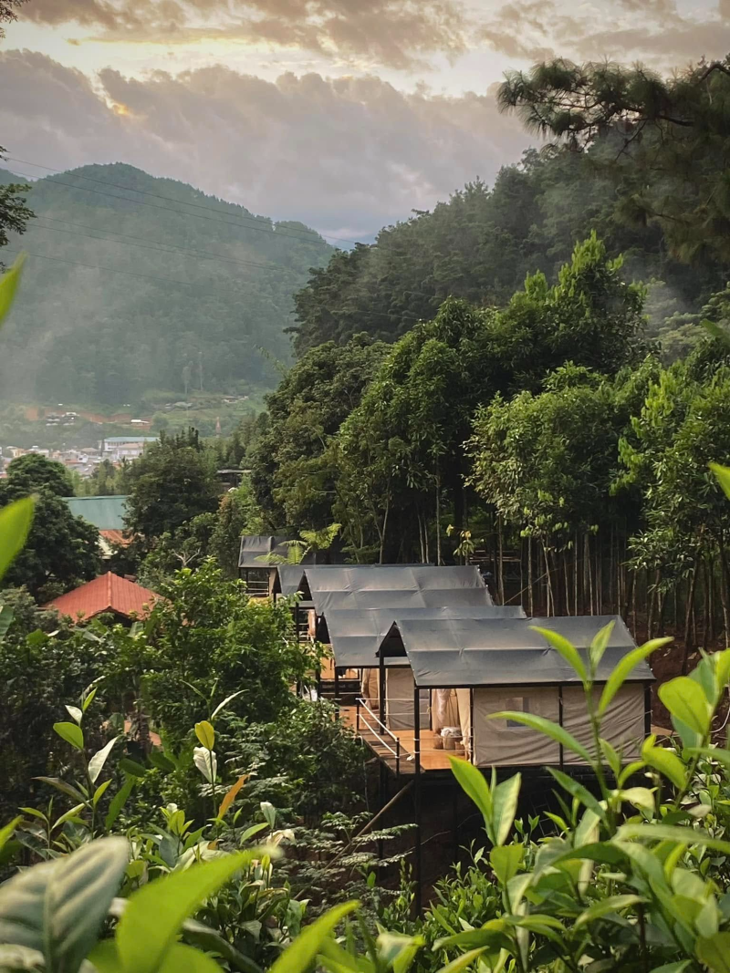 đồi thông eo gió trạm tấu