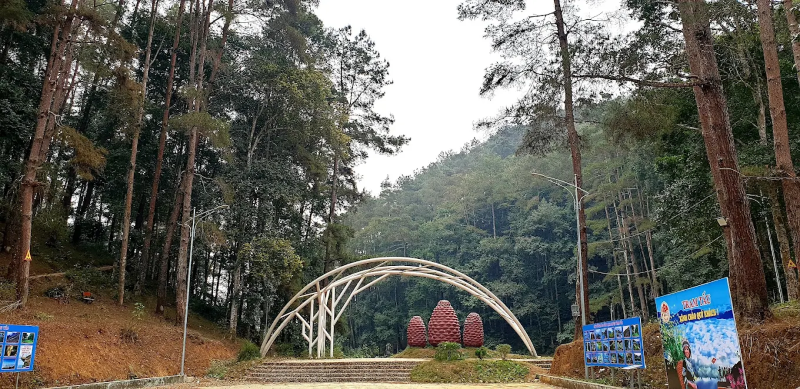 đồi thông eo gió trạm tấu