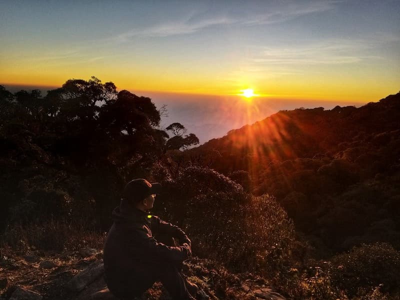 bình minh rừng rêu tà xùa
