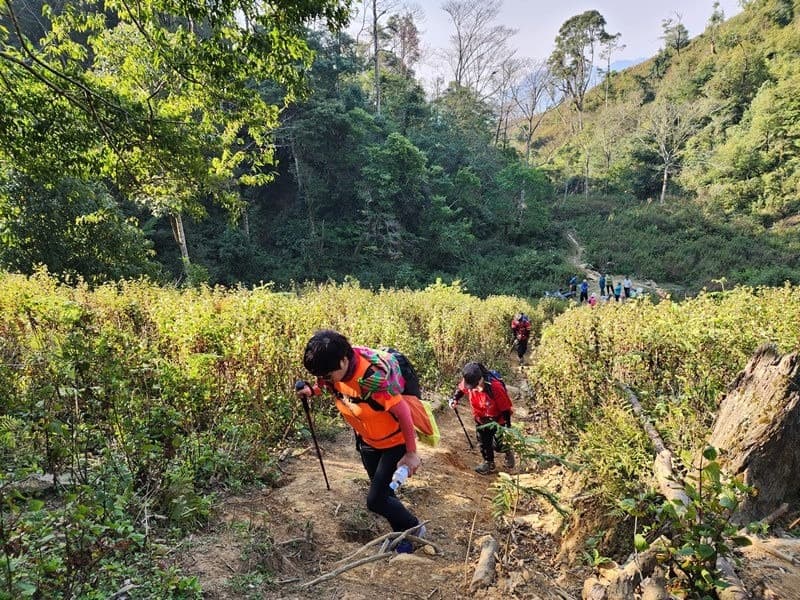 trekking rừng rêu tà xùa