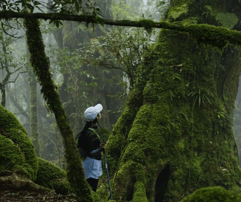 trekking đỉnh sa mu tuyến xím vàng