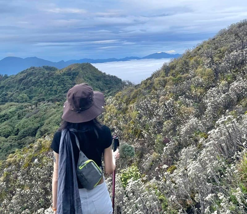 lưu ý gì khi trekking rừng rêu tà xùa