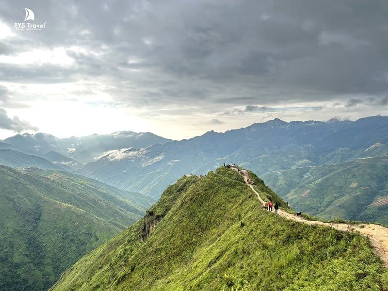Rừng rêu tà xùa săn mây