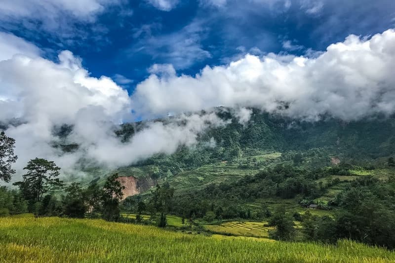 Rừng già Y Tý