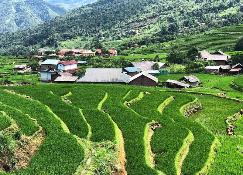 dền sáng ruộng bậc thang y tý