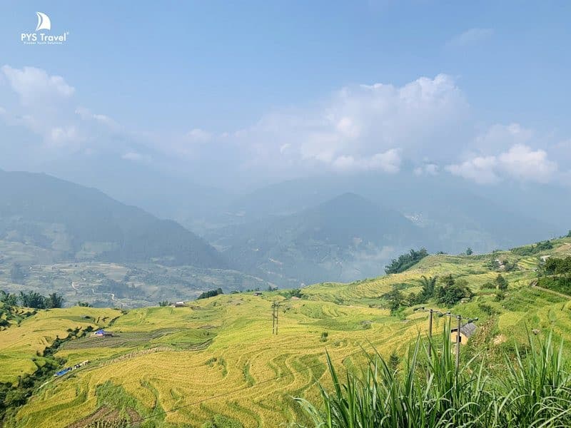 ruộng bậc thang y tý