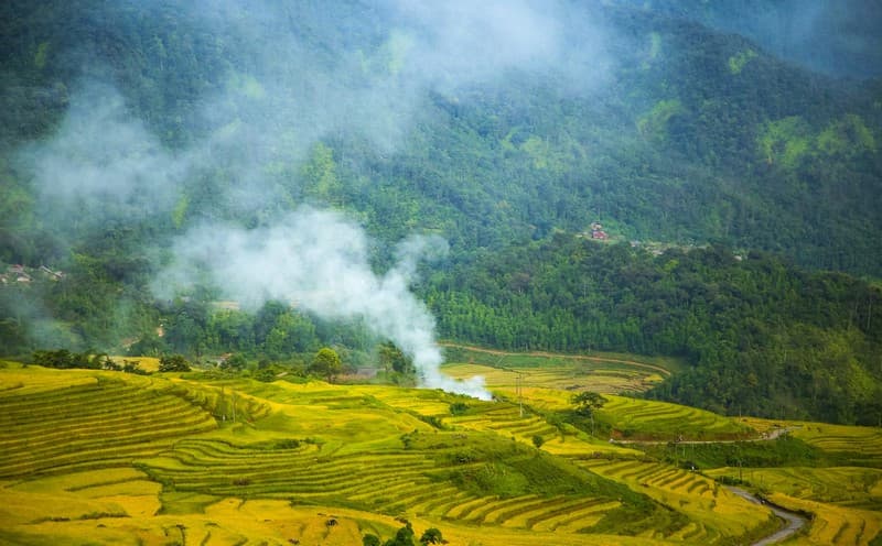 ruộng bậc thang y tý mùa lúa chín