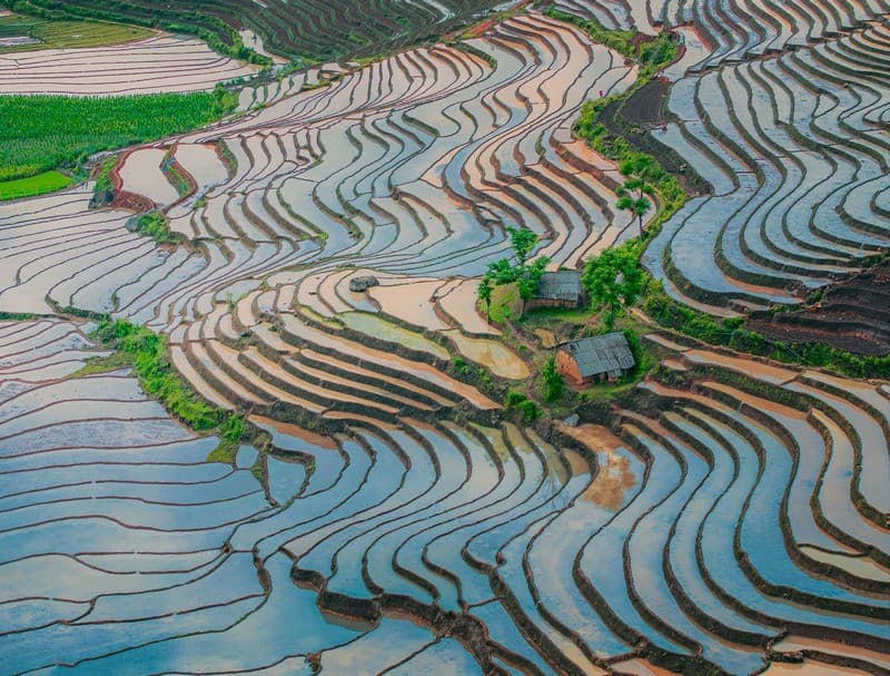 ruộng bậc thang y tý mùa nước đổ