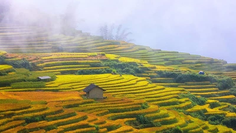 mùa thu y tý