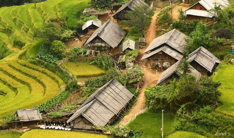 bản lao chải