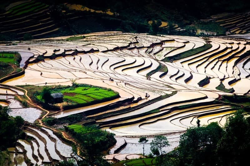a lù y tý mùa nước đổ
