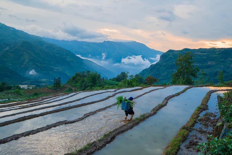 y tý mùa nước đổ