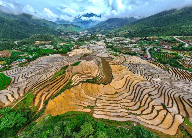 y tý mùa nước đổ